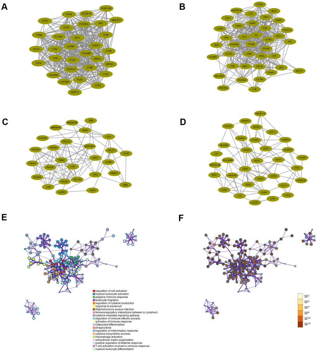 Functional enrichment analysis and construction of PPI network. (A–D) PPI network of four core modules constructed using STRING. (E) Functional enrichment analysis for the 307 intersection genes. (F) P-value of each gene in the network.