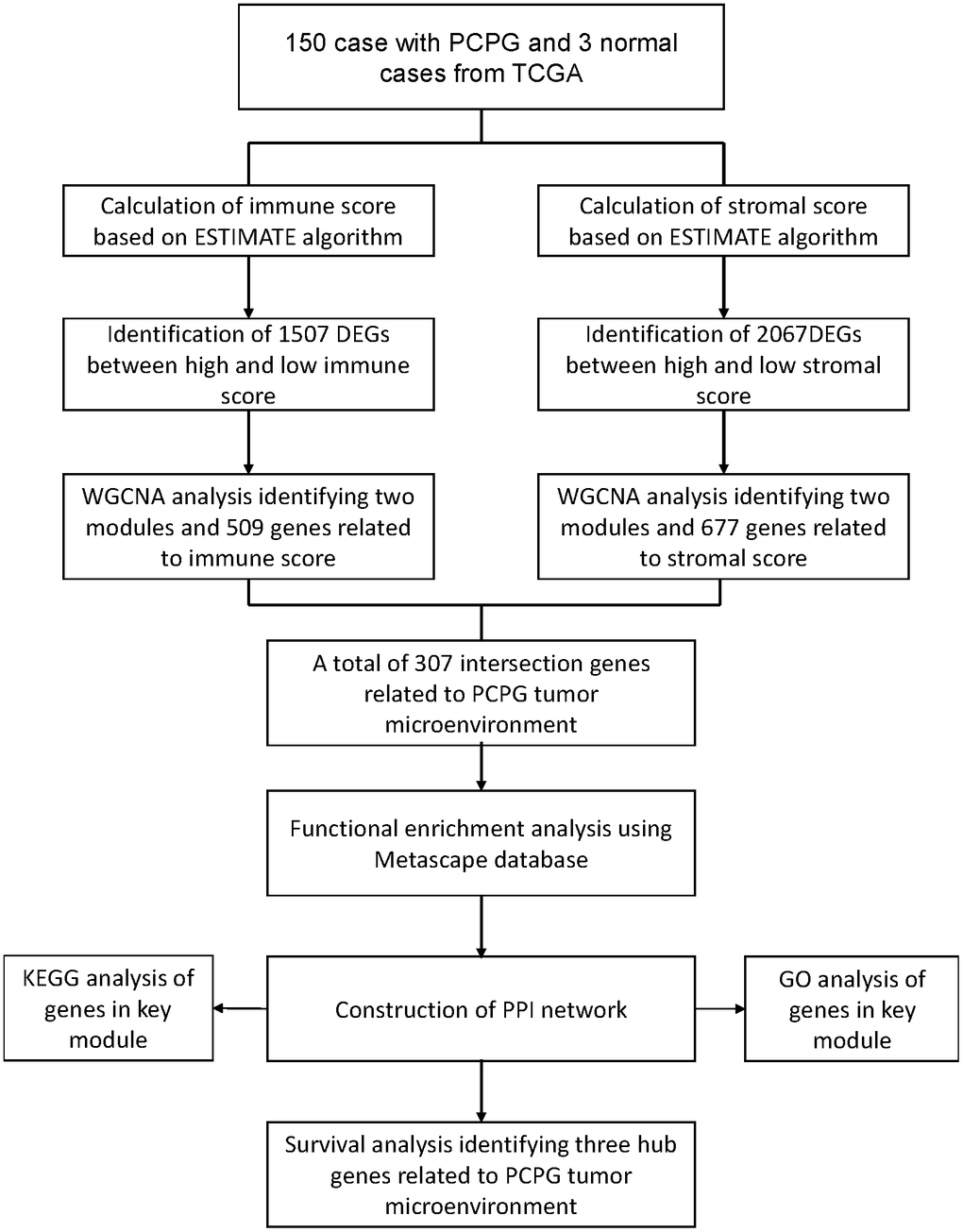 The flow diagram of this study.