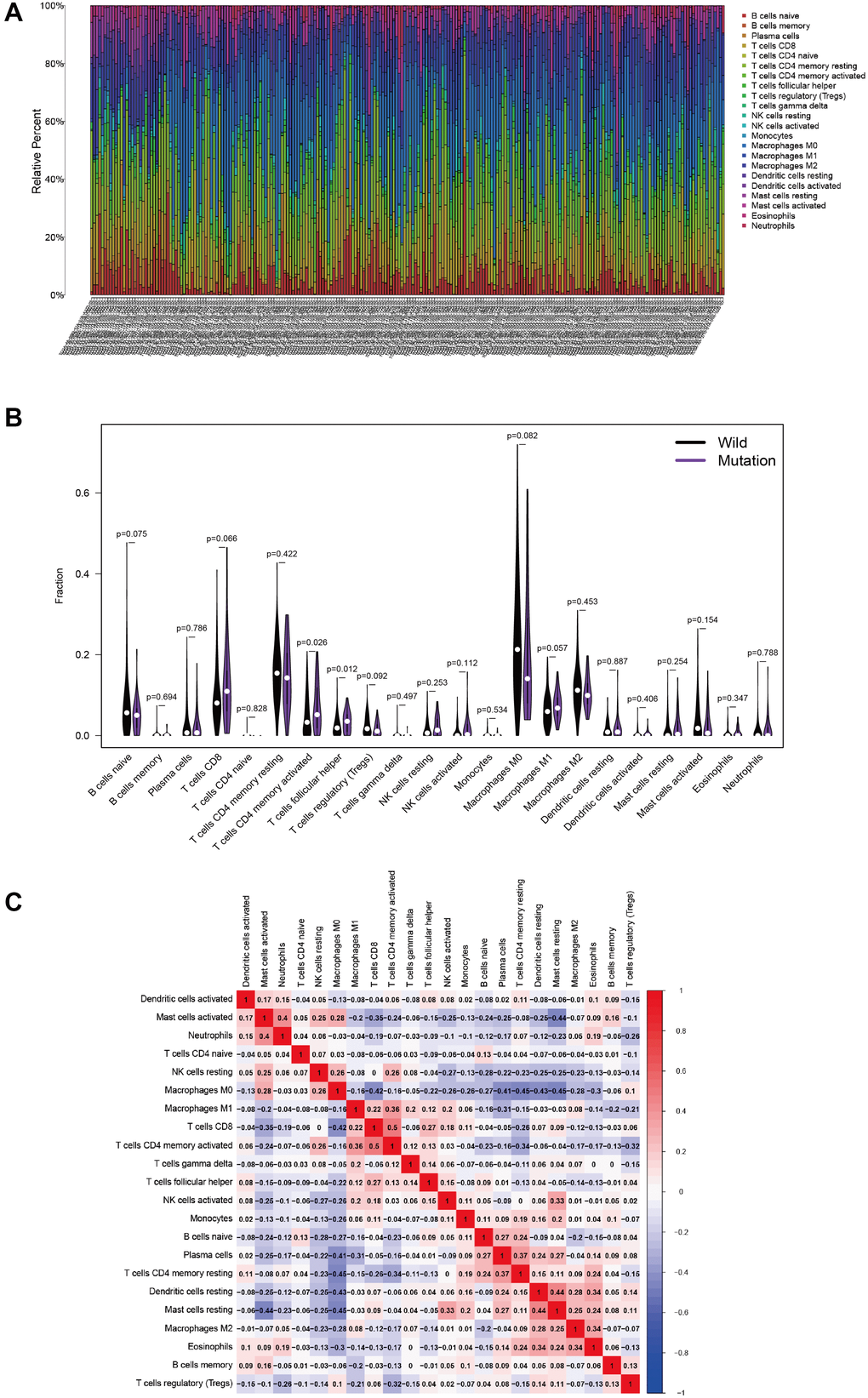 MUC4 mutation is correlated with tumor-infiltrating immune cells. (A) The stacked bar chart shows the distribution of 22 immune cells in each sample. (B) Violin plot displaying the differentially infiltrated immune cells between the MUC4-mutant groups and the wild-type MUC4 group. black represents the wild-type MUC4 group, and purple represents the MUC4-mutant group. The p-value is shown in the figure. (C) Correlation matrix of immune cell proportions. The red color represents a positive correlation, and the blue color represents a negative correlation.