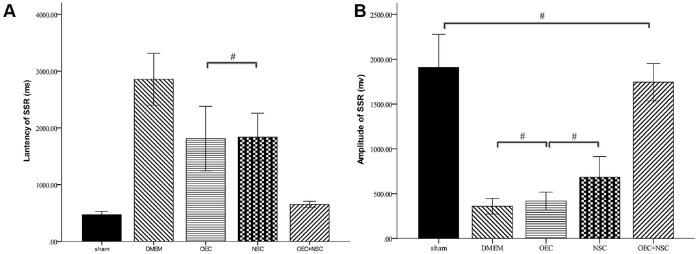 Sympathetic skin responses in SCI rats after cell transplantations.#P>0.05, pairwise comparisons of other groups yielded P values post-hoc: Dunn-Bonferroni; Error bar: 95% CI).