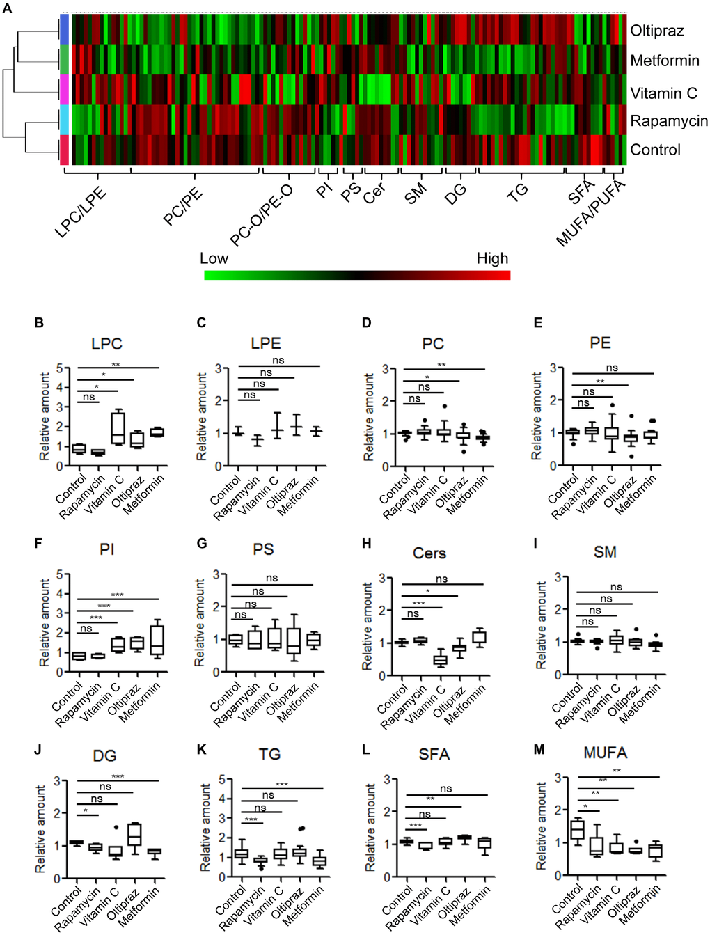 Metabolic alterations of lipid species among MSCs induced by different drugs. (A) Clustering-heatmap diagram indicated global alteration layout of various lipids among inducement groups. (B–M) Box plots showed differential significance of lipids between control and drug inducement groups.