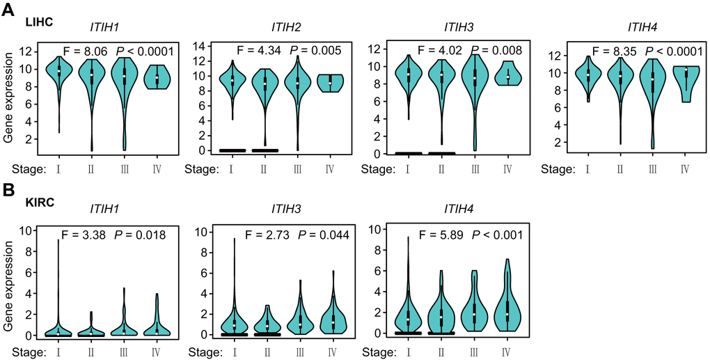 Expression level of ITIHs in different pathological stages (stage I, stage II, stage III, and stage IV) of LIHC (A) and KIRC (B).