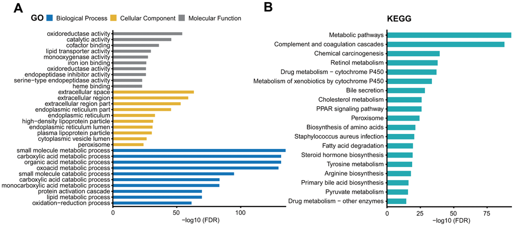 GO (A) and KEGG pathway (B) analysis of the genes co-expressed with ITIH1.