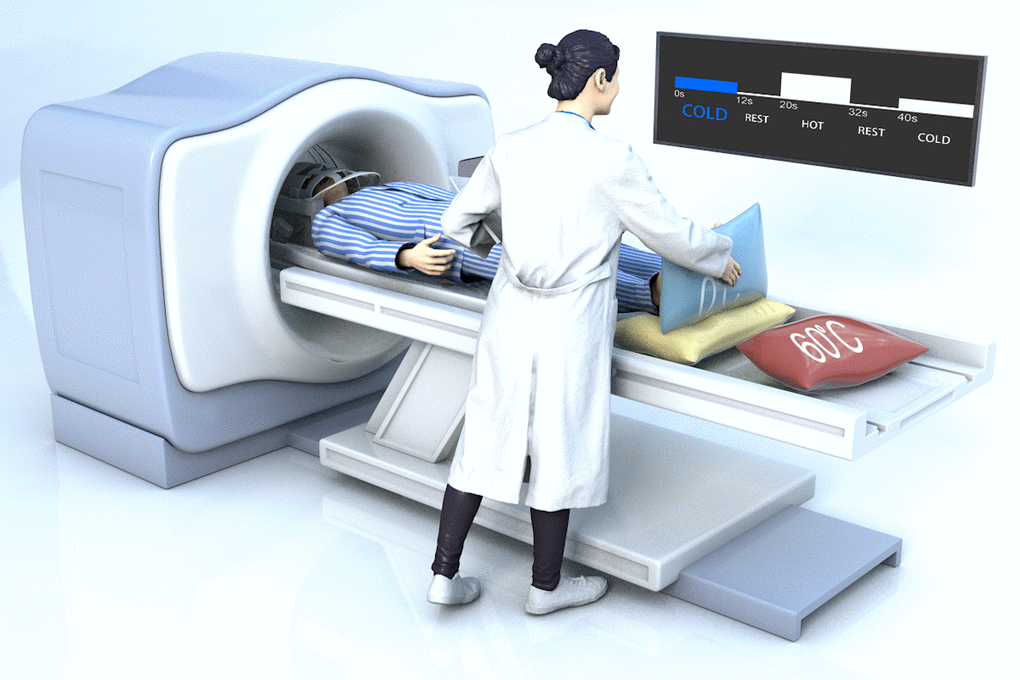 A schematic of the experimental operation. The subject was lying supine in the scanner in the 64-channel head coil. The researcher administered a balanced-design stimulus according to task prompts. A countdown prompted the operator to start and end the stimulus five seconds before the end of each block.