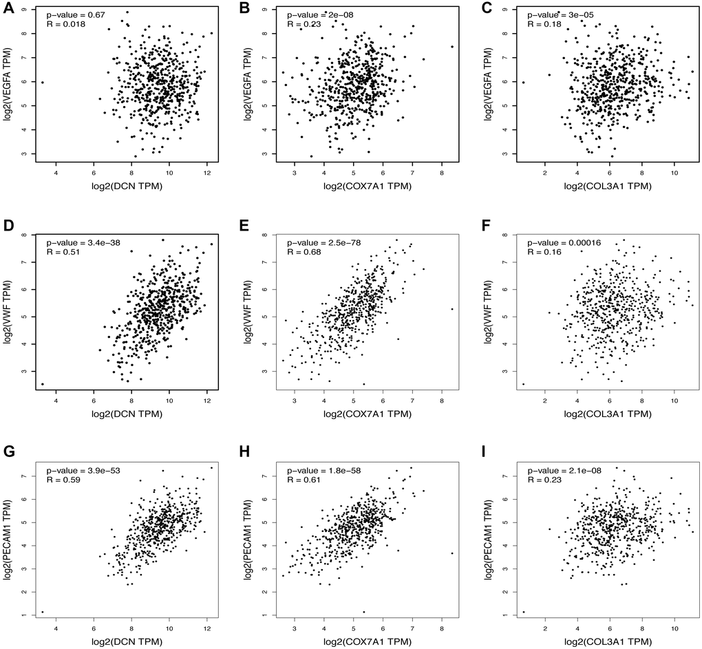 Relationship between the upregulated DEGs and angiogenesis. The correlation between the VEGFA and the expression of (A) DCN, (B) COX7A1, (C) COL3A1. The correlation between the VWF and the expression of (D) DCN, (E) COX7A1, (F) COL3A1. The correlation between the PECAM1 and the expression of (G) DCN, (H) COX7A1, (I) COL3A1.