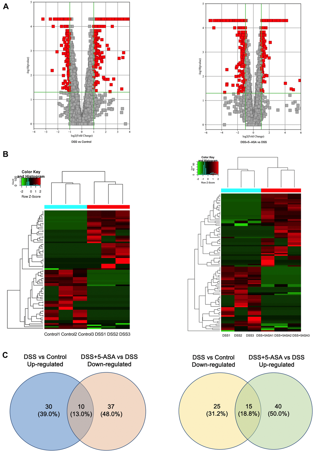 Bioinformatic analysis of the detected circRNAs between DSS vs. control and DSS+5-ASA vs. DSS group. (A) Volcano plot shows the significantly differentially expressed circRNAs in a visible way and the vertical green lines correspond to 2.0-fold up- and down-regulation and the horizontal line represents the 0.05-p-value. (B) Hierarchical clustering was used to evaluate the differentially expressed circRNAs when comparing with each sample of control, DSS and DSS+5-ASA group. Columns indicated the expression pattern of each sample; the green and red line represented the low and high expression level. (C) Venn plot shows the number of the dysregulated circRNAs in DSS vs. control and DSS+5-ASA vs. DSS group.