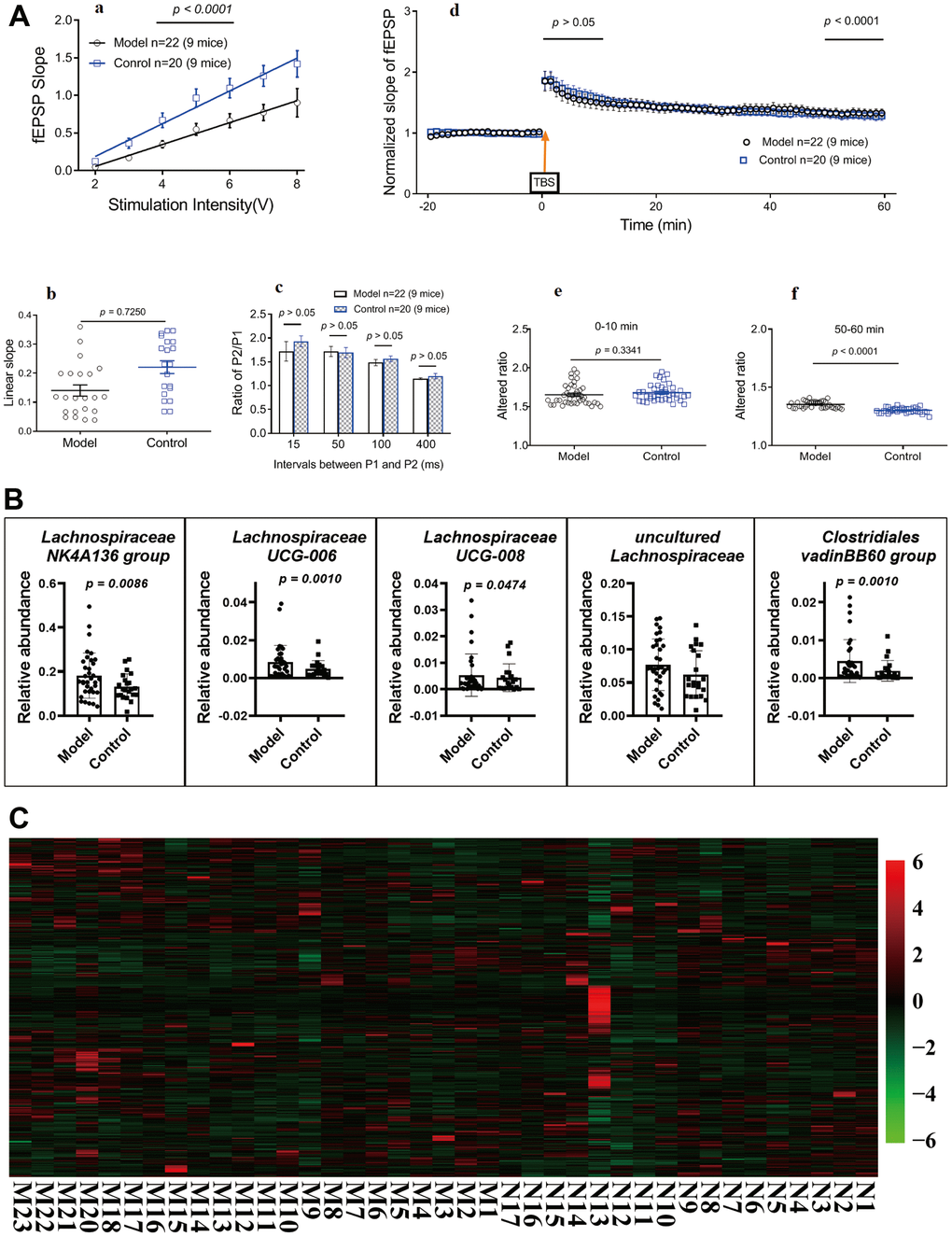 Influences of maternal high sugar and fat diet on LTP, gut microbiota and metabolome of older mice. (A) LTP in hippocampal slices, 16 months later, subsets of mice were randomly selected to perform standard field potential recordings. (B) Changes on the gut microbiota; (C) Changes on the metabolome in fimo. The pathological structure of brain and small intestine (Supplementary Figure 5). Data are presented as the means ± SD of more than 6 independent experiments. Significant differences between two groups of LTP were evaluated by two-tailed unpaired Student’s t-tests or two-tailed Welch’s t-test. Significant differences between treatments were analyzed by one-way analysis of variance (ANOVA) at p 