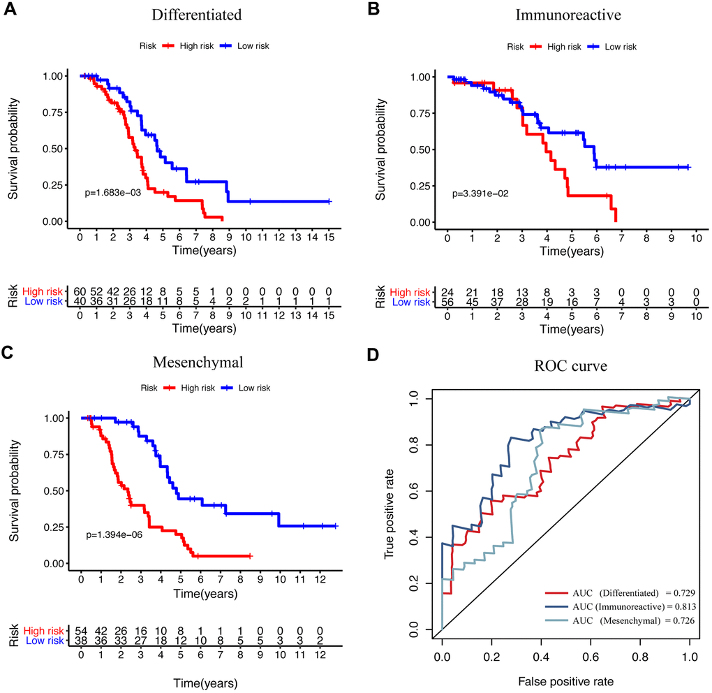 The efficacy of signature in diverse subtypes according to the differentiated expressed genes. (A–C) KM curve analysis of the high-risk and low-risk groups in “differentiated,” “immunoreactive,” and “mesenchymal” subtypes. (D) Time-dependent ROC curve analysis of the prognostic model in “differentiated,” “immunoreactive,” and “mesenchymal” subtypes.