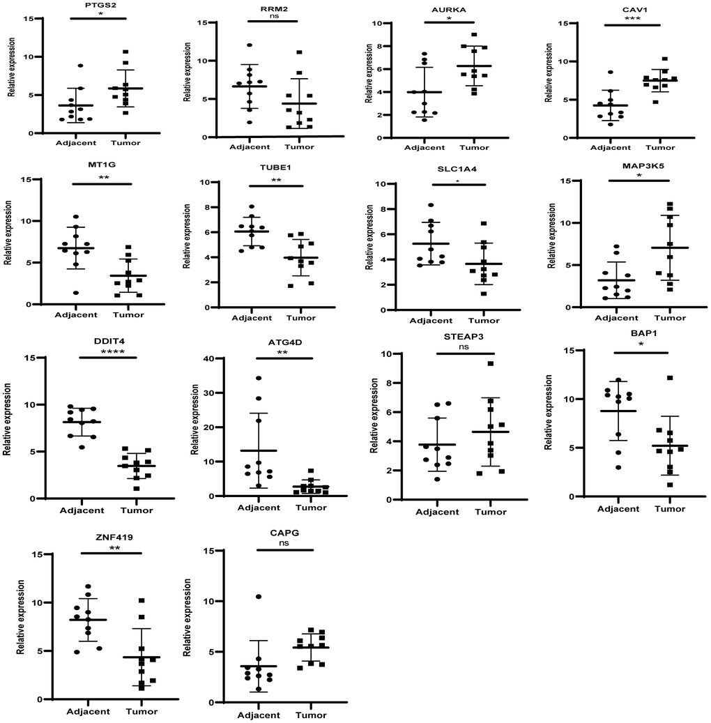 The mRNA expression level of the key genes in the clinical samples.