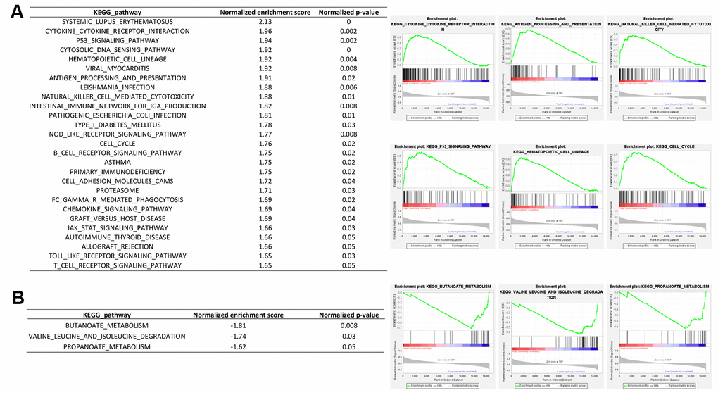 Gene set enrichment analysis between RIPK2 high- and low- expression samples. GSEA comparing gene-expression signatures of TCGA KIRC tumors with the RIPK2 high- and low-expression by using hallmark gene sets. GSEA positive result table (A) showing all the significant enrichment terms of the hallmark keg pathway gene sets from MSigDB, and GSEA negative result table (B) showing significant enrichment terms of the KEGG pathway gene sets from MSigDB.