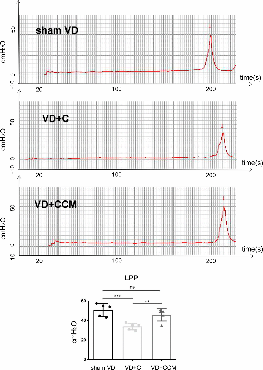 BMSC-CCM treatment enhanced LPP of rats under VD. Measurement and quantification of LPP in three rat groups. Data are shown as means ± standard deviation (SD). *P **P ***P 
