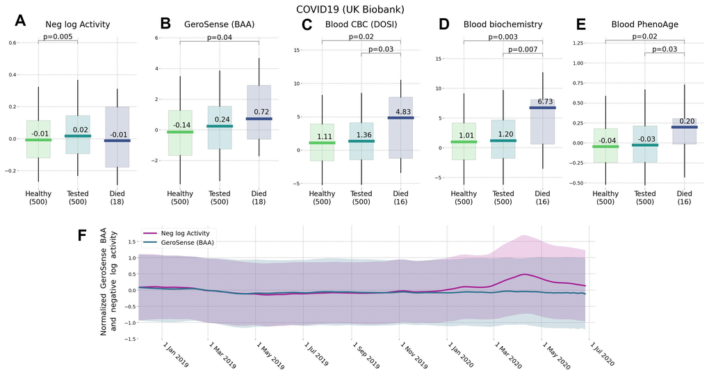 Effect of lockdown and the future risks of COVID-19 ranked by wearable BAA and blood-based bioage models. Association of BAA with the future incidence of COVID-19: (A) BAA in the form of the negative logarithm of daily step counts, (B) GeroSense BAA, (C) CBC-based DOSI [4], (D) CBC and Blood biochemistry hazards model, and (E) Blood-based PhenoAge [2] (all data are given for UK Biobank participants aged 45−75 y.o.). (F) Longitudinal data obtained by smartwatch show that while GeroSense is more sensitive to future risks it is also more selective and does not change immediately (green line) due to merely walking less during March to May 2020 lockdown while the average activity level does (red line). The values in panel (F) were scaled to zero mean and unit variance for comparison; shaded areas show one standard deviation range at each time point.