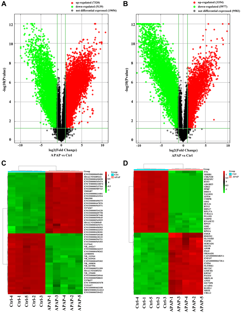 Identification of DE lncRNAs and mRNAs in APAP patients. (A, B) Volcano plots presenting differences in the expression of lncRNAs and mRNAs between the APAP and control groups. Values plotted on the x- and y-axes represent the averaged normalized signal values of each group (log2-scaled). Red indicates upregulation, green indicates downregulation and black indicates no difference. (C, D) Heatmaps showing the expression profiles of the top DE lncRNAs and mRNAs.
