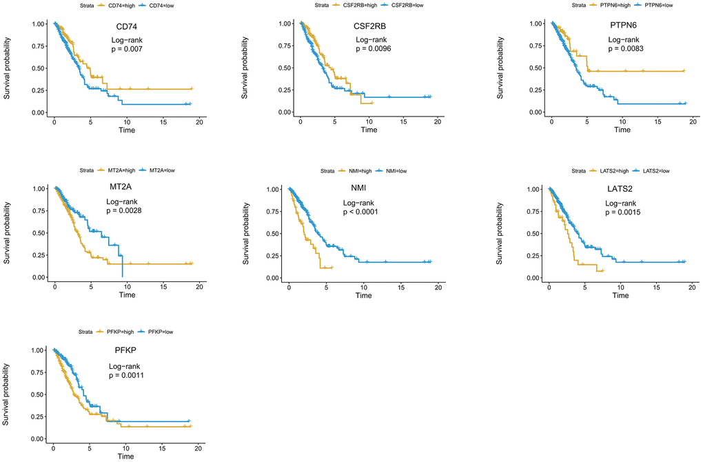 Kaplan-Meier survival curve analysis of seven genes in the risk signature. The survival curves and risk tables of seven genes in the TCGA LUAD cohort were presented with the log-rank test results. Among them, high expression of CD74, CSF2RB, or PTPN6 is associated with favorable prognosis, while high expression of MT2A, NMI, LATS2, or PFKP, is associated with poor prognosis in LUAD.