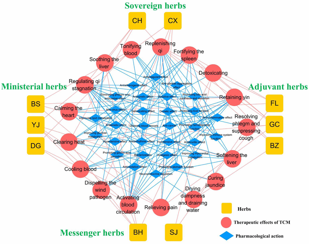 Overview of TGLQ prescription. Yellow nodes refer to the ten herbs contained in TGLQ; Red nodes refer to the therapeutic effects of TCM; Blue nodes refer to the pharmacological actions of TGLQ. Red lines refer to the relations between herbs and the therapeutic effects of TCM. Blue lines refer to the relations between the therapeutic effects of TCM and the pharmacological actions of TGLQ.