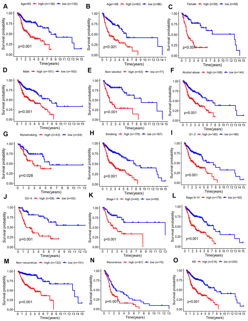 Kaplan-Meier analyses of HNSCC patient subgroups and clinicopathology factors including. (A) age ≥65 years, (B) age C) female, (D) male, (E) non-alcohol, (F) alcohol, (G) Nonsmoking, (H) smoking, (I) G1 and 2, (J) G3 and 4, (K) stage I-II, (L) stage III-IV, (M) non-recurrence, (N) recurrence, (O) M0 stage (p 