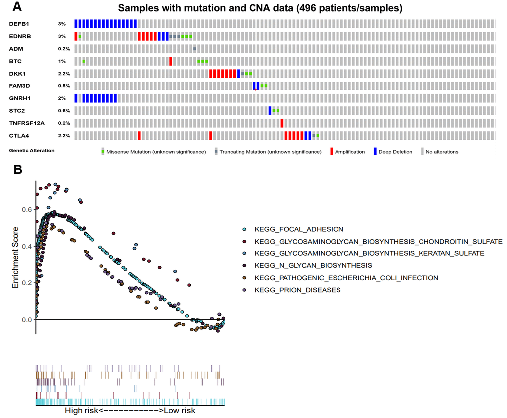 Genetic alterations of the 10 immune-related genes using GSEA. (A) Genetic alterations of 10 immune-related genes in HNSCC samples. The rows and columns indicate the genes and tumor samples, respectively. (B) The six enriched pathways in the high-risk groups based on the prognostic signature in HNSCC.