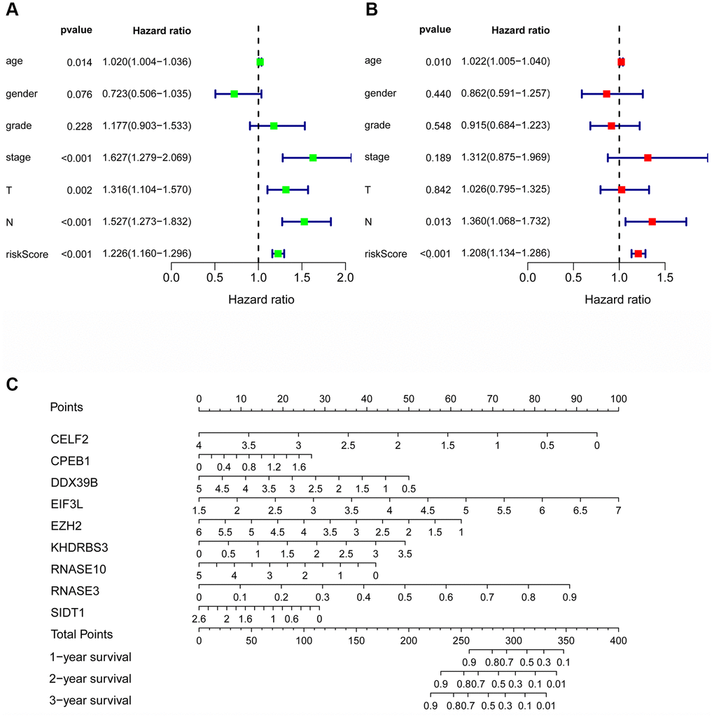 The prognostic value of different clinical parameters. Univariate (A) and multivariate (B) Cox regression analyses of OS in HNSCC. (C) Nomogram for predicting 1-, 3-, and 5-year OS of HNSCC patients.