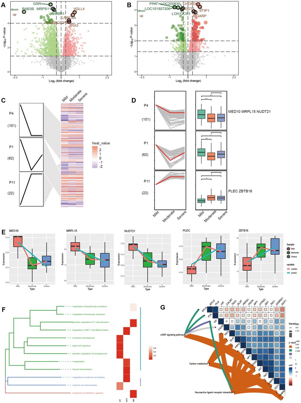 Molecular changes in the progression of Alzheimer’s disease. (A) The differentially expressed genes between moderate and mild AD patients. (B) Differentially expressed genes between severe and moderate AD patients. (C) Modules significantly up or down in the STEM results. (D) The trend in gene expression in significantly up-regulated or down-regulated modules. (E) The expression trend of potential risk genes in different stages of AD in patients. The enrichment results of persistent disorder genes include biological function (F) and the KEGG pathway (G).