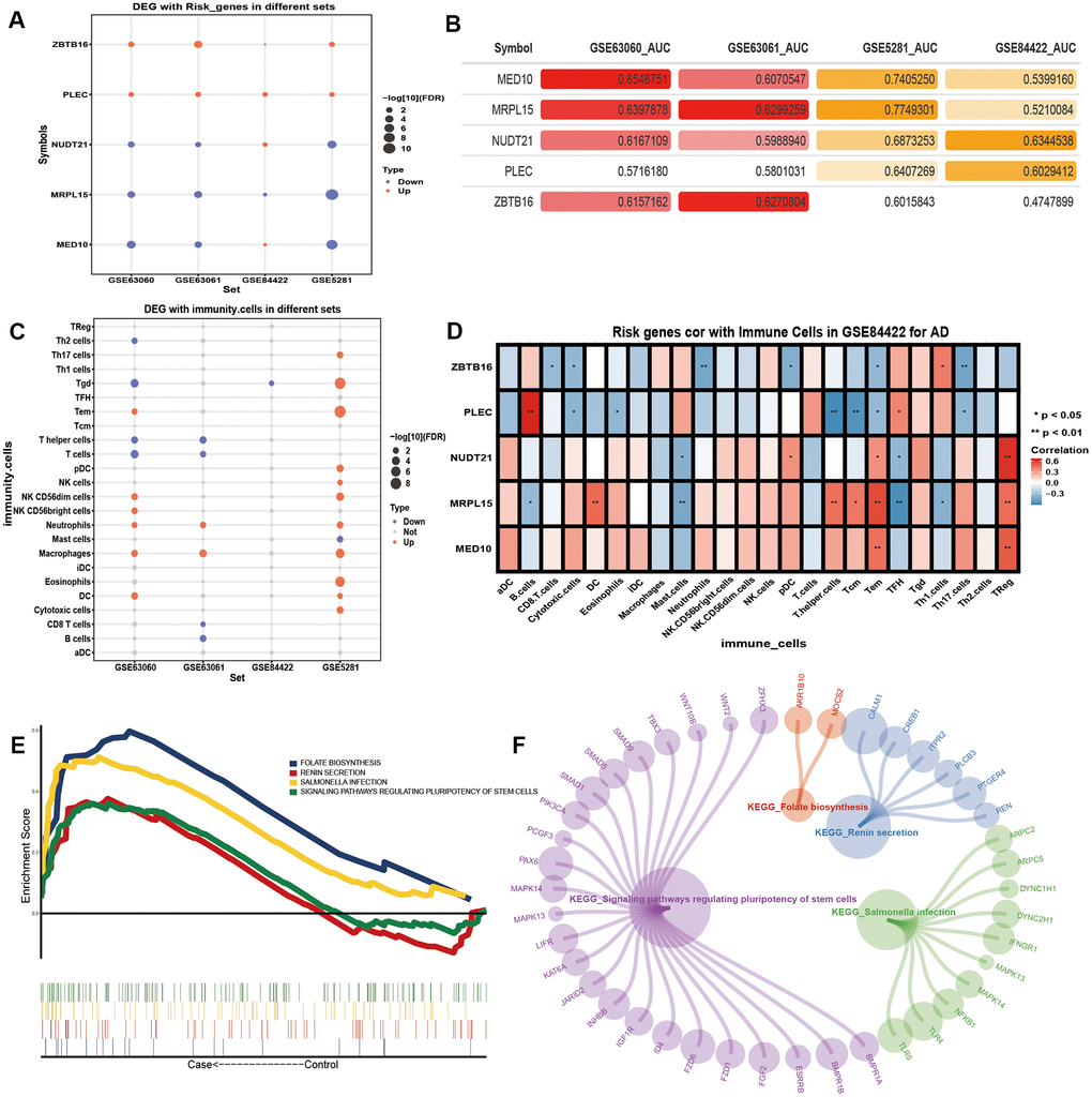 The potential risk genes and immune changes in Alzheimer’s disease. (A) Four data sets were used to verify the expression of the potential AD risk genes. (B) The AUC value of potential risk genes in AD patients. (C) The 24 differentially expressed immune cells. (D) Correlation between the potential AD risk genes and immune cells. (E) The GSEA results of gene expression in AD patients. (F) Gene expression of AD patients involved in the GSEA KEGG pathway.