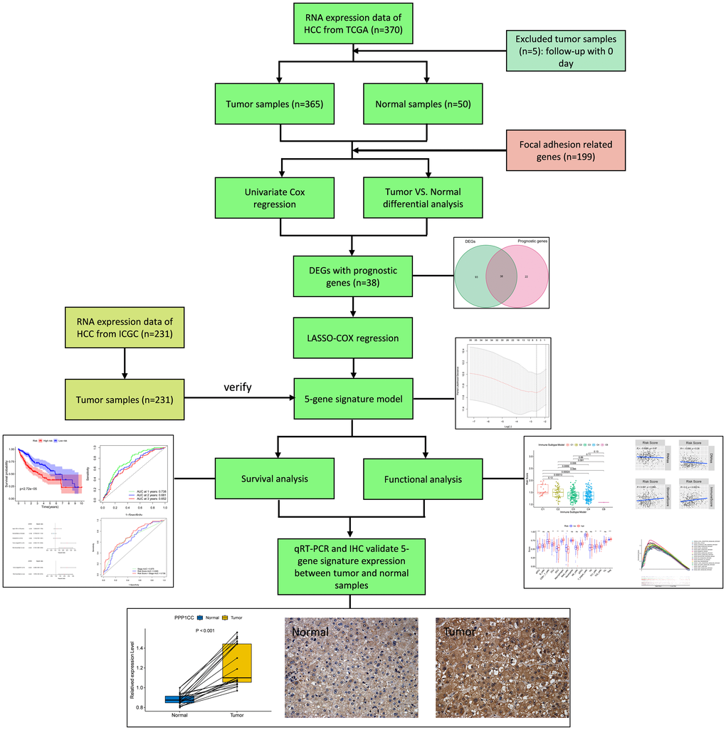 Flow chart of data collection, analysis and experiment.