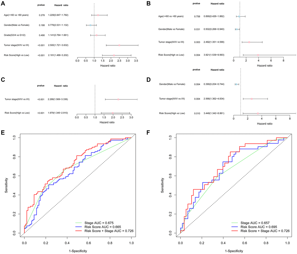 Results of the univariate and multivariate Cox regression analyses regarding overall survival (OS) and AUC of the risk score, tumor stage, and the risk score combined with tumor stage at 3-year OS. TCGA cohort (A, C, E), ICGC cohort (B, D, F). (A, B) Univariate Cox regression analyses to screen OS-related factors. (C, D) Multivariate Cox regression analyses to screen OS-related factors. (E, F) AUC of the risk score, tumor stage, and the risk score combined with tumor stage at 3-year OS.