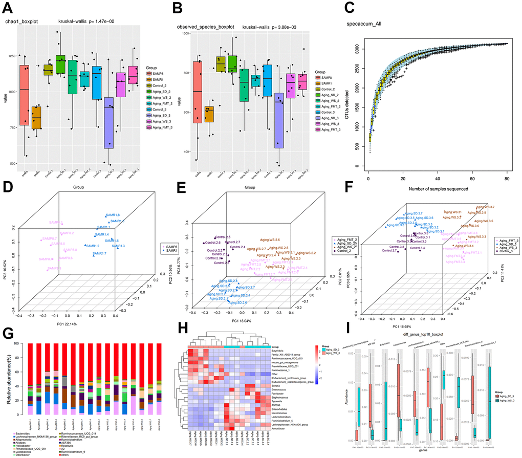 The α- and β-diversity of gut microbiota from feces samples. (A) Chao1 index of gut microbes in mice from the four groups. (B) The species index of gut microbes in mice from four groups. (C) Species accumulation curves. The X-axis represents the number of microbial samples sequenced, whereas the Y-axis represents the number of OTU detected. (D) PCoA plot showing the distribution of feces samples from SAMP8 and SAMR1 mice at the experiment baseline. (E) PCoA plot showing the distributions of plasma samples detected in four groups at the experiment’s metaphase. (F) PCoA plot showing the distributions of plasma samples from SAMP8 and SAMR1 mice at the experimental endpoint. The different colors represent samples from different groups. The closer the samples are, the more similar the microbial composition and structure between the samples. (G) The relative abundance of the top 15 differential OTUs between the WS and SD groups. (H) The heatmap for the top 20 differential OTUs. (I) The boxplot for the top 10 differential OTUs.