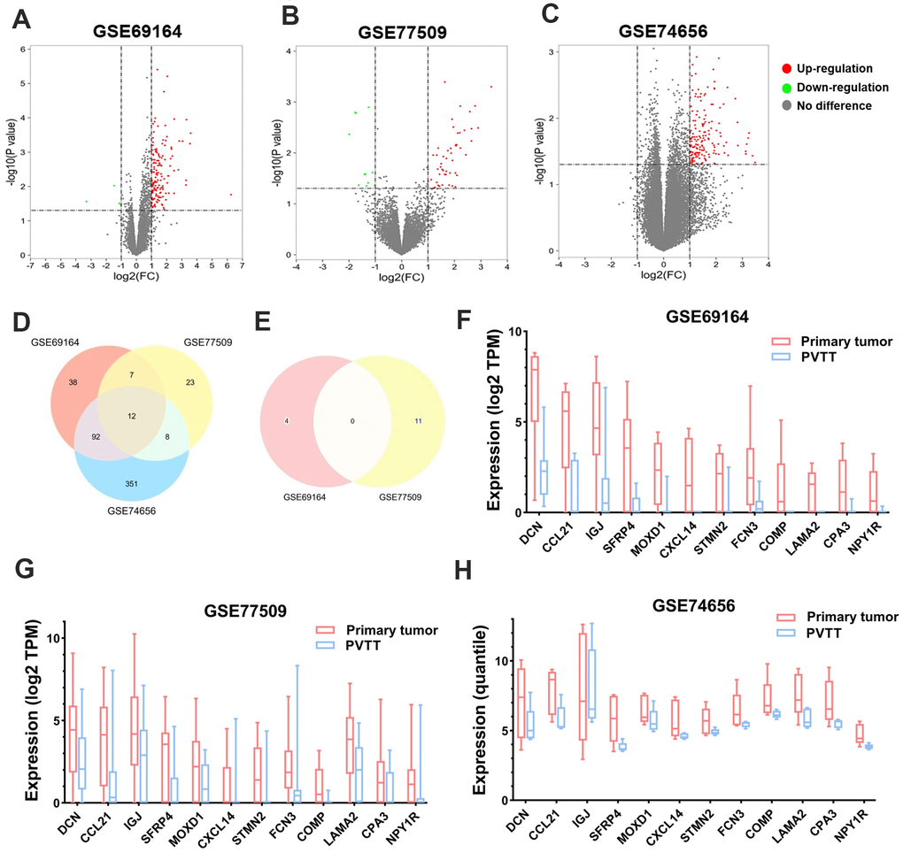 Identification of the DEGs between PT and PVTT tissues. Volcano plots showing the identification of the DEGs in (A) GSE69164, (B) GSE77509, and (C) GSE74656 datasets with the screening criteria of |log2(FC)| > 1 and P D) upregulated and (E) downregulated DEGs among the three datasets. Since no downregulated DEGs was identified in dataset GSE74656, the Venn diagram for it was not drawn. The expression of the 12 overlapping upregulated DEGs in PT and PVTT tissues in datasets (F) GSE69164, (G) GSE77509, and (H) GSE74656. DEGs, differentially expressed genes; PT, primary tumor; PVTT, portal vein tumor thrombus; FC, fold change.