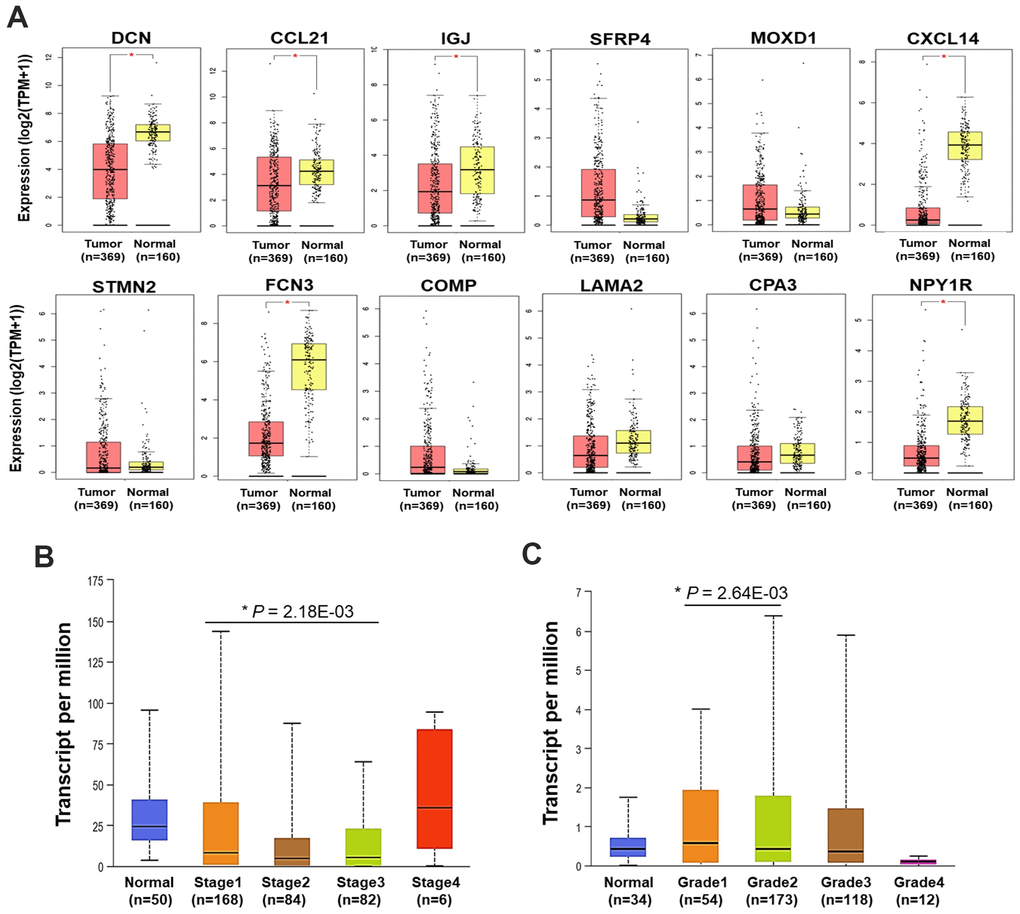 Expression and clinical relevance of the DEGs. (A) The expression of the 12 DEGs in HCC and normal liver samples (GEPIA) (*P B) The expression of CCL21 in HCC and normal liver samples by different stages. (C) The expression of MOXD1 in HCC and normal liver samples by different grades. TPM, transcript per million.