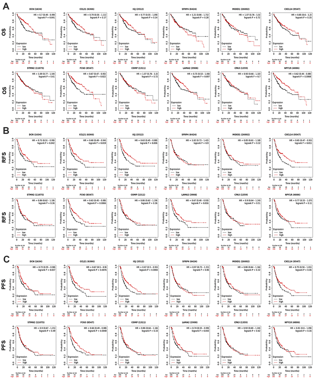 Prognostic significance of the DEGs in HCC patients (KM Plotter). The survival curves showed the associations between the expression of the 12 DEGs with (A) OS, (B) RFS, and (C) PFS of HCC patients. OS, overall survival; RFS, relapse free survival; PFS, progression free survival; HR, hazard ratio.