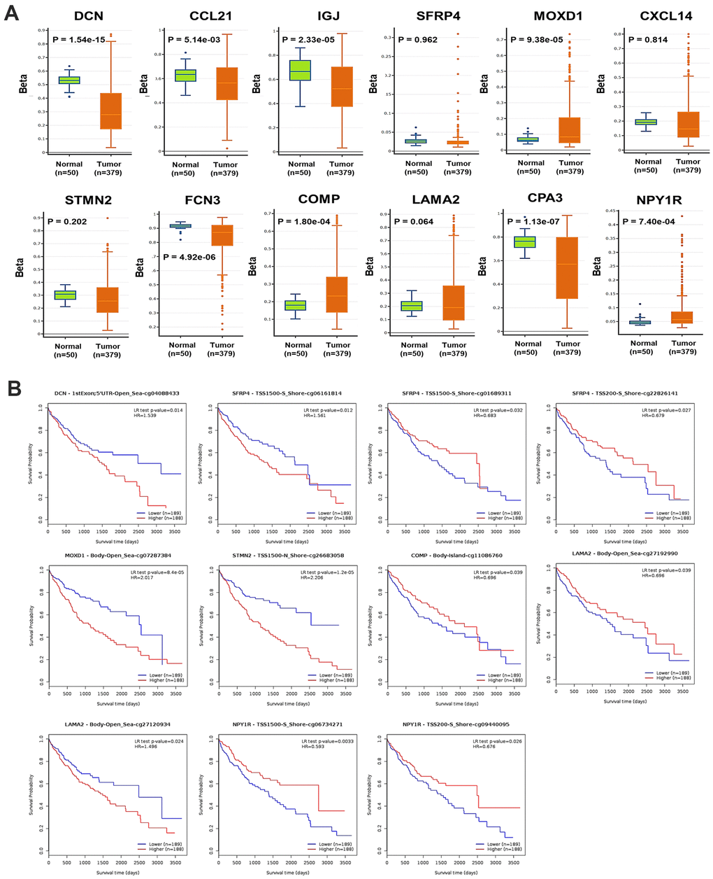 DNA methylation of the DEGs in HCC. (A) The global DNA methylation level of the 12 DEGs in HCC and normal liver samples (DNMIVD). (B) The associations between the methylation level of CpG sites of the DEGs with the OS of HCC patients (MethSurv).