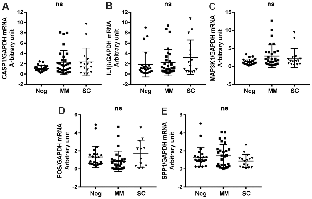 Antiviral genes not significantly changed in COVID-19 patients and healthy controls. (A) CASP1, (B) IL1β, (C) MAP3K1, (D) FOS, (E) SPP1.