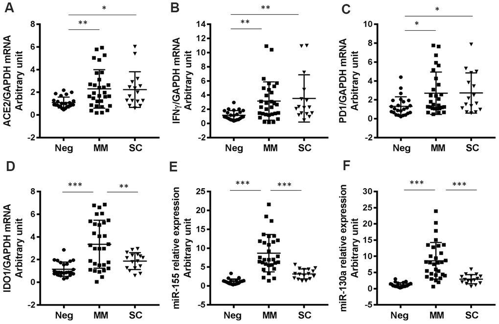 Expression levels of other COVID-19-related genes in patients with varying degrees of disease severity. (A) ACE2 (P=0.0057 for MM vs Neg; P=0.0313 for SC vs Neg), (B) IFNγ (P=0.0095 for MM vs Neg; P=0.0091 for SC vs Neg), (C) PD1 (P=0.0248 for MM vs Neg; P=0.0353 for SC vs Neg), (D) IDO1 (PE) miR-155 (PF) miR-130a (P