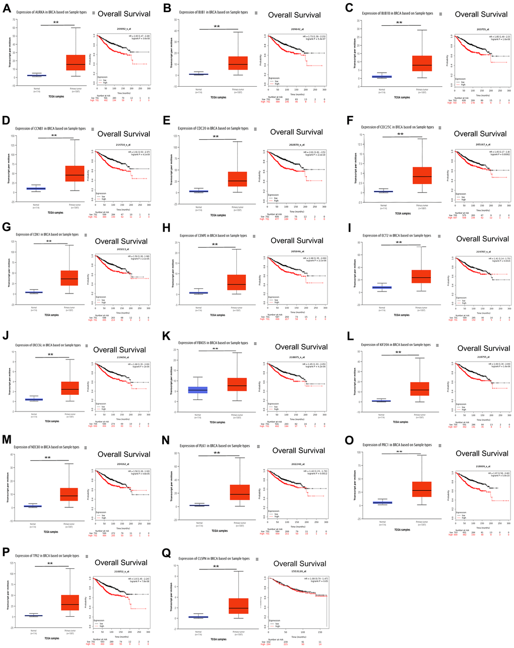 (A–Q) Prognostic value of the 17 genes that exhibited co-expression with CENPU and are involved in the PLK1 pathway in breast cancer. **P 