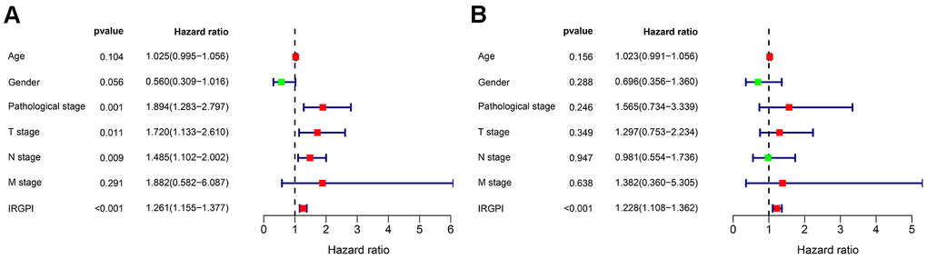 Univariate (A) and multivariate (B) Cox regression analysis in terms of OS for patients with BLCA.