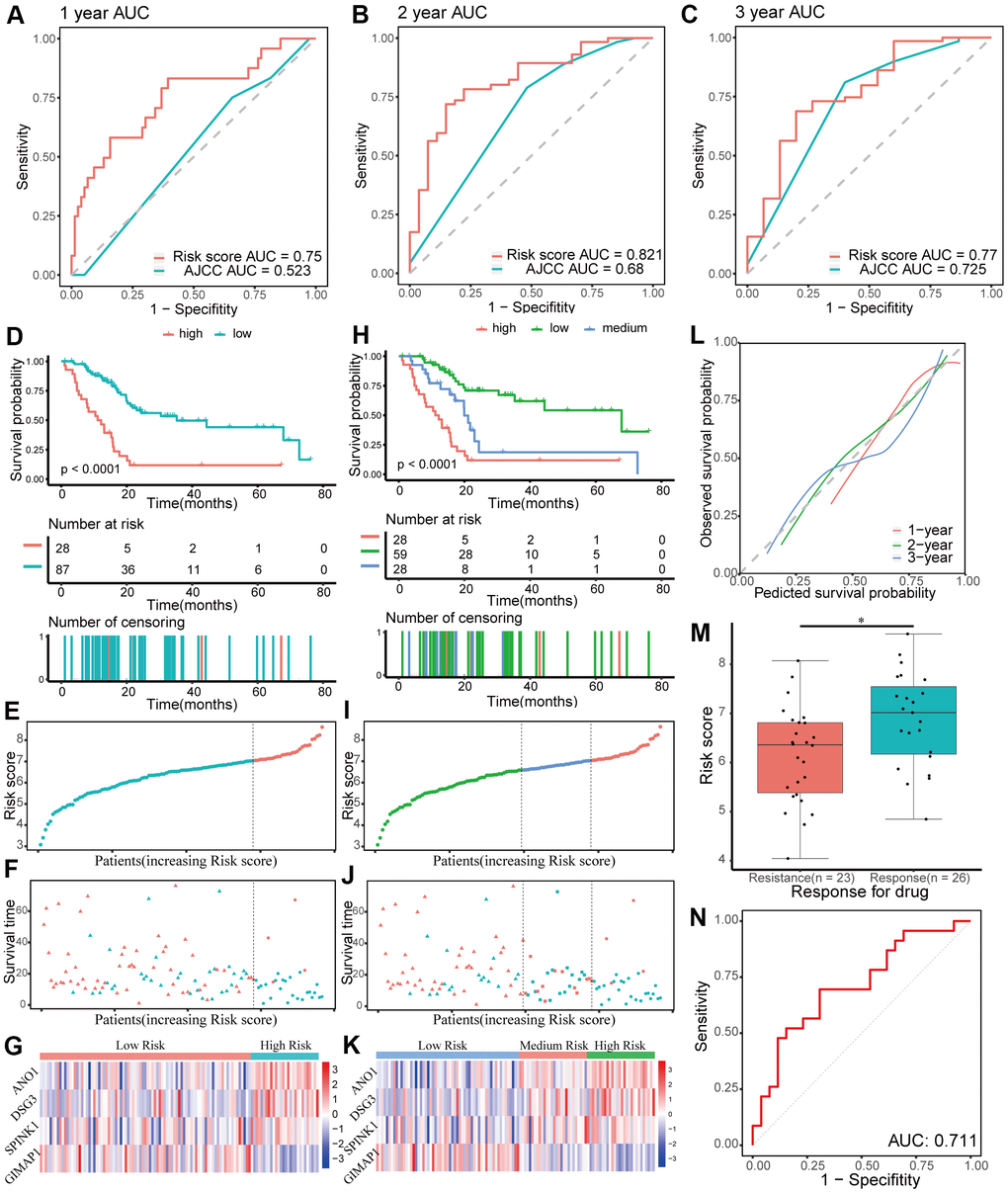 Evaluating the performance of the prognostic gene signature in the training group. (A–C) Time-dependent receiver operating characteristic (ROC) curves for 1-, 2-, and 3-year overall survival predictions of the gene signature. American Joint Committee on Cancer (AJCC) stage is the control. (D–G) Kaplan-Meier survival curves of the four-gene signature and distribution of patient survival and risk score in different groups when patients are divided into two groups. (D) Kaplan-Meier survival curves. (E) Distribution of risk score. (F) Distribution of survival time. Circle shape stands for high-risk group while triangle shape for low-risk group. Red stands for survival and green stands for dead. (G) Heatmap of the expression of the four genes. (H–K) Kaplan-Meier survival curves of the four-gene signature and distribution of patient survival and risk score in different groups when patients are divided into three groups. (H) Kaplan-Meier survival curves. (I) Distribution of risk score. (J) Distribution of survival time. (K) Heatmap of the expression of the four genes. (L) Calibration plot for validation of the gene signature. (M) Distribution of risk score in different responses to drug in the training group. (N) The ROC curve for the response to drug prediction of risk score in the training group is shown.