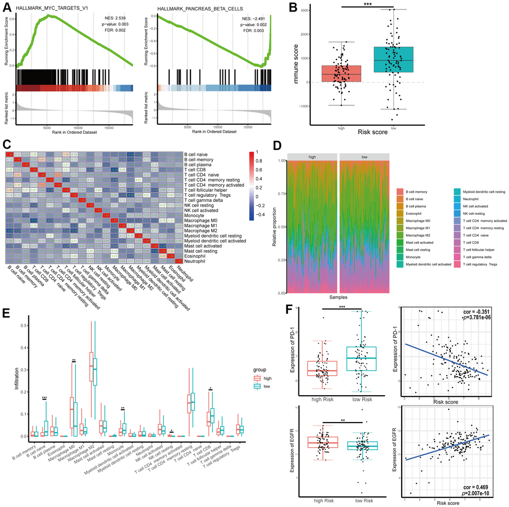 Gene set enrichment analysis (GSEA) and tumor immunity relevance of the gene signature. (A) GSEA for hallmark gene sets. Upregulated and downregulated enriched pathways with top normalized enrichment scores are shown. (B) Distribution of immune score in high and low risk groups in The Cancer Genome Atlas (TCGA) dataset. (C) Correlation of the infiltration proportion between different immunocytes. (D, E) Infiltration levels of different immunocytes in high and low risk groups. (F) Correlation between expression of programmed cell death protein 1 (PD-1) or epidermal growth factor receptor (EGFR) and risk score.