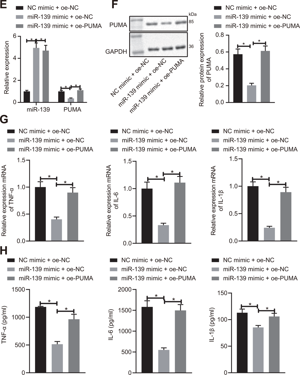 miR-139 suppressed production of pro-inflammatory cytokines by targeting PUMA. (E, F) PUMA mRNA (E) and protein (F) level in the transfected cells. (G) mRNA level of pro-inflammatory cytokines as determined by RT-qPCR. (H) ELISA analysis of cytokines levels. Data were summarized as mean ± S.D. from at least 3 independent biological replicates. (B–D) Data were compared using unpaired student’s t-test. (E–H) One-way ANOVA with Tukey’s post hoc test was applied to compare data among multiple groups. * indicates p 