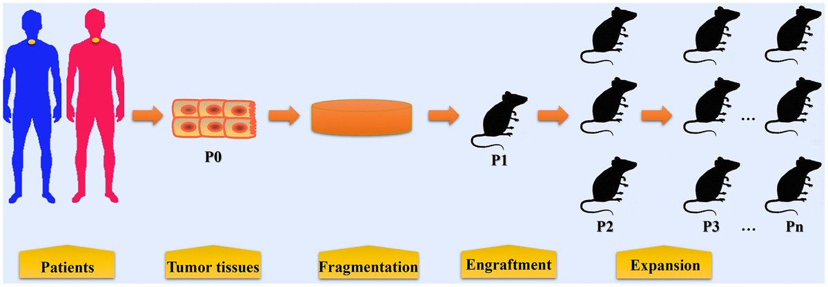 class="figure-viewer-img"