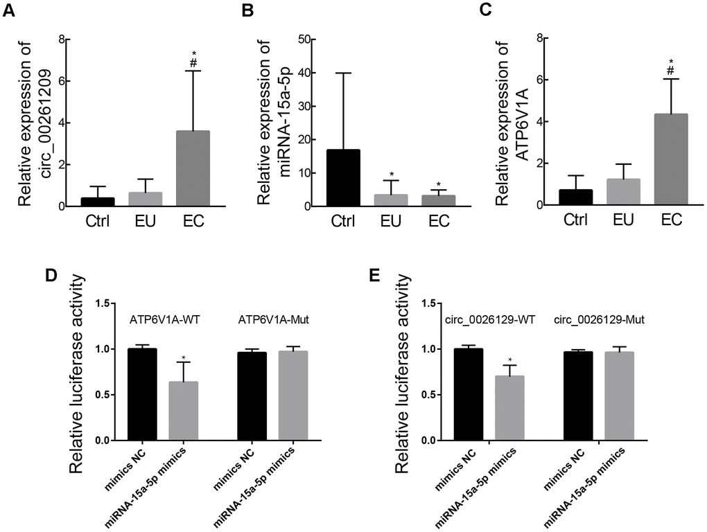 Validation of exosomal circ