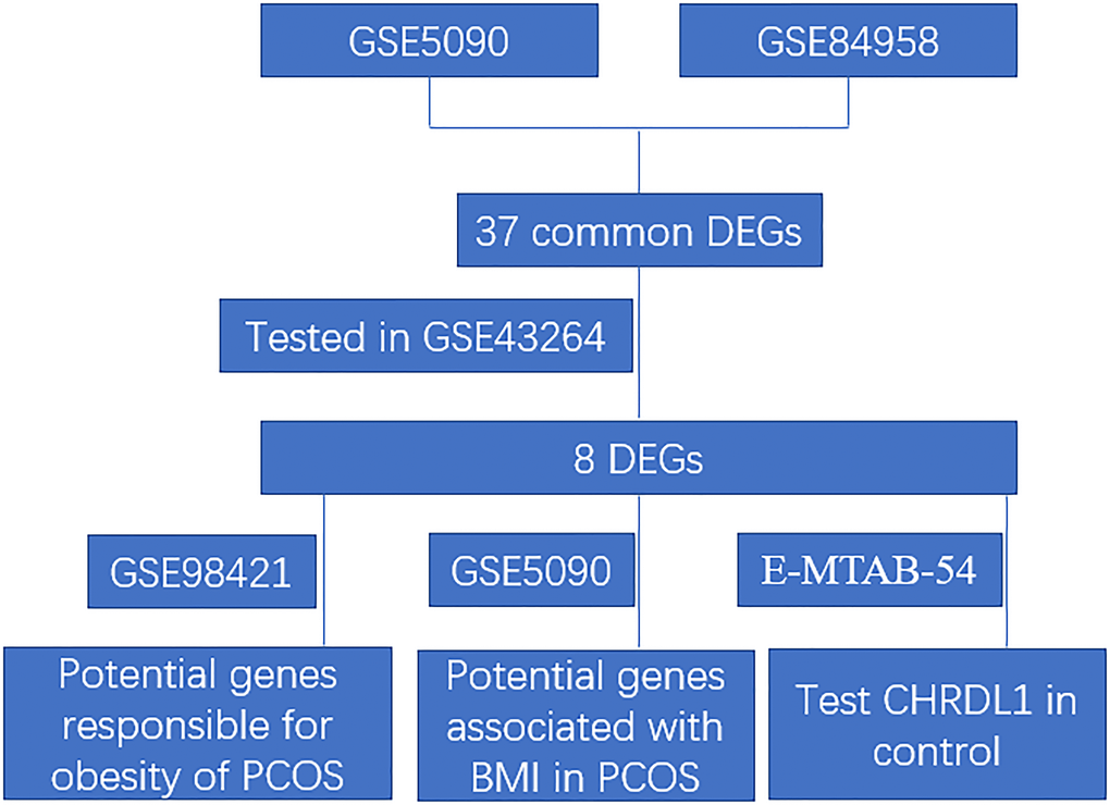 The analytic workflow of the present study.