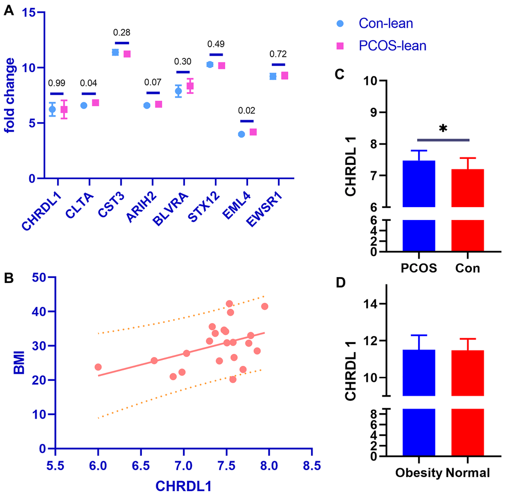 The DGEs special for obesity in PCOS. (A) The expression pattern of the 8 detected DGEs in GSE98421. (B) The expression of the gene CHRDL1 was found to be in linear regression with the BMI index in PCOS patients (p = 0.0358, Y = 6.460*X - 17.51). (C) The expression of CHRDL 1 was significantly higher in obesity PCOS cases than the BMI matched healthy controls (p = 0.0415). (D) There was no statistical difference of CHRDL1 expression between the obesity and normal cases.