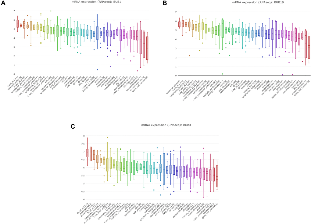 The expression of BUBs in cancer cell lines (CCLE). The mRNA expression of (A) BUB1, (B) BUB1B, and (C) BUB3 in sarcoma cell lines, analyzed by CCLE. Lineages are composed of a number of cell lines from the same area or system of the body. The number next to the lineage name indicates how many cell lines are in the lineage. The highest average distribution is on the left and is colored red. The dashed line within a box is the mean.