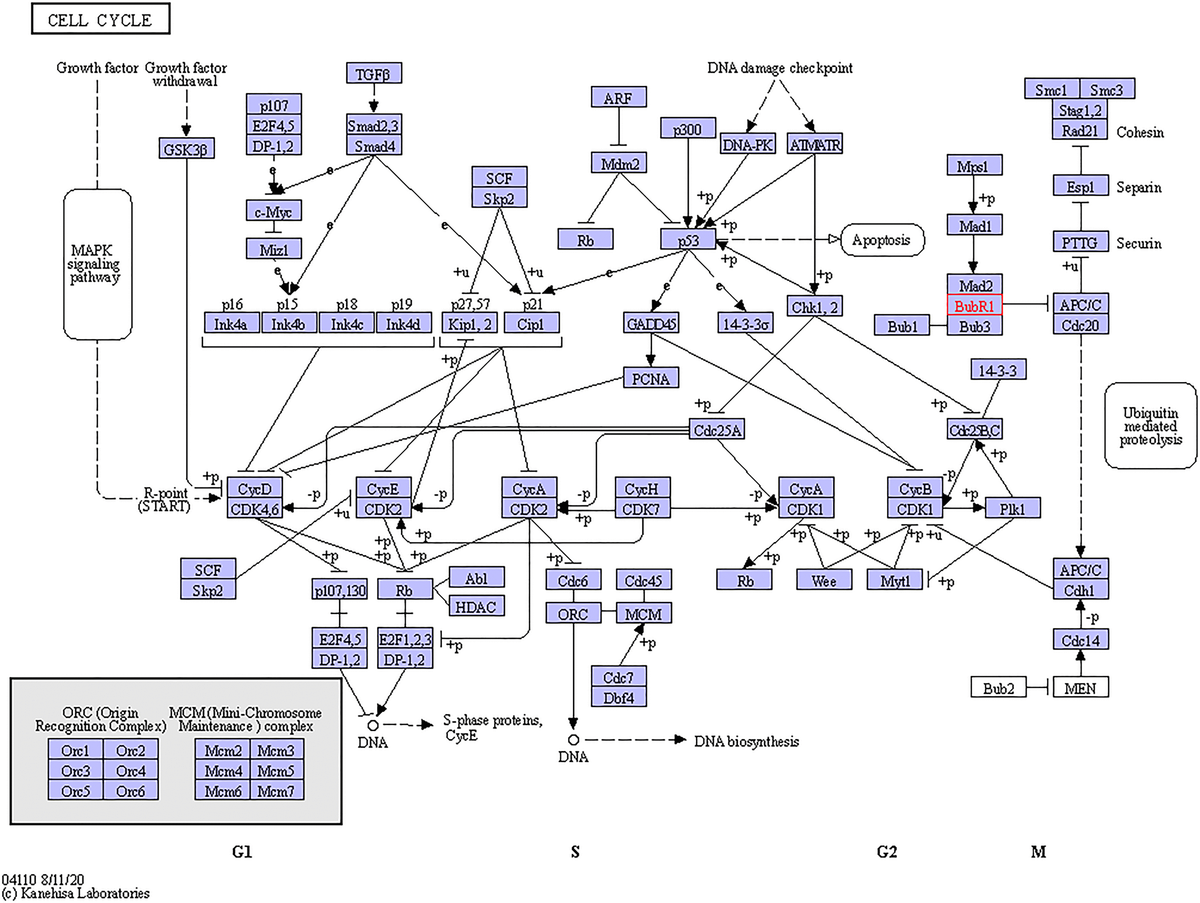 class="figure-viewer-img"