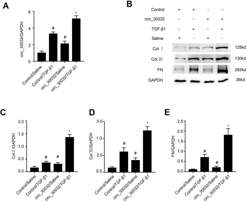 Overexpression of circRNA