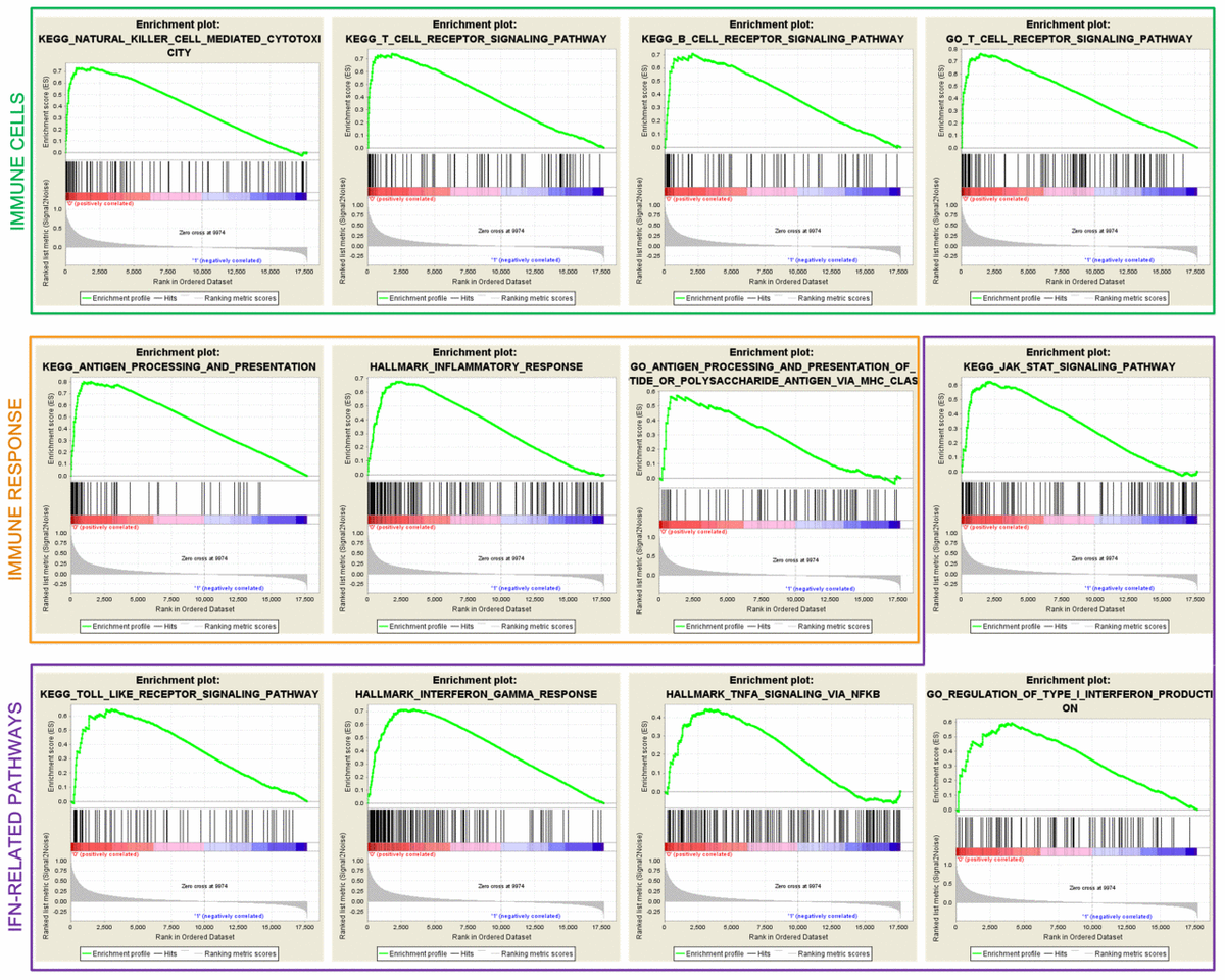 class="figure-viewer-img"