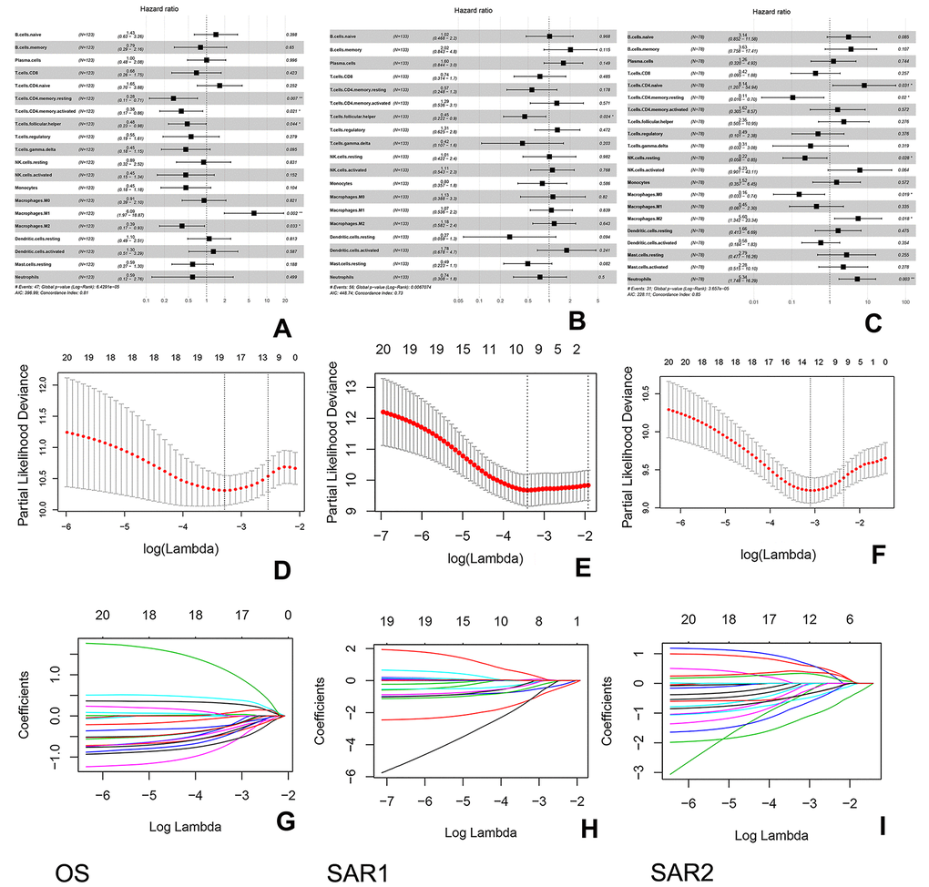 Construction of the immunoscore in 3 groups. (A–C) Forest plots show the association between immune cell subsets and overall survival in 3 groups. The hazard ratios are shown with 95% confidence intervals; (D–F) Tenfold cross-validation for parameter selection in the LASSO model, the partial likelihood deviance is plotted against log (λ). The subscripted values are the value of log (λ), while the superscripted values are the number of parameters. The partial likelihood with error bars representing standard error is shown. The two dotted vertical lines are drawn at the optimal values of log (λ) (minimum criteria and 1-s.e. criteria); (G–I) Least absolute shrinkage and selection operator (LASSO) coefficient profiles of immune cell types. These lines represent the coefficient of the corresponding immune cell.