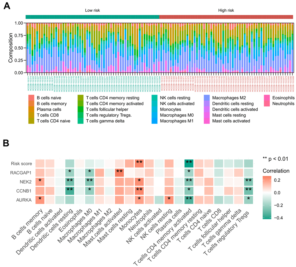 Relationship between the identified risk signature and tumor immune cell infiltration based on the ICGC-LIRI-JP cohort. (A) The landscape of immune infiltration in each of the tumor samples of low- and high-risk groups. (B) Heatmap representing the correlation matrix of the four signature genes, risk score, and relative abundance of 22 immune cell types. Red indicates the positive correlation, while green indicates the negative correlation. * P P 