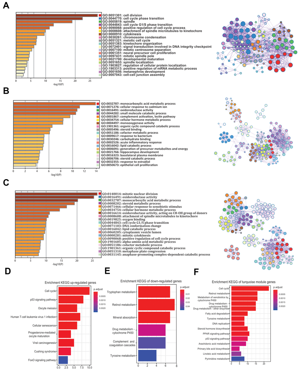 GO and KEGG analysis of the 240 common DEGs and the turquoise module. (A–C) GO enrichment analysis for the upregulated genes (A), downregulated genes (B), and the turquoise module (C) (Top 20 are shown). (D–F) Enrichment of KEGG pathways for the upregulated genes (D), downregulated genes (E), and the turquoise module (F). GO, gene ontology. KEGG, Kyoto Encyclopedia of Genes and Genomes. DEGs, differentially expressed genes.