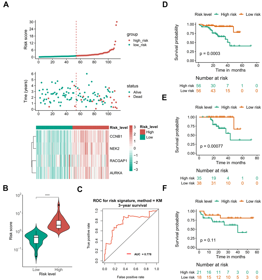 Performance of the defined four mRNA-based risk signature with ICGC-LIRI-JP. (A) Gene expression, risk score, and clinical outcome for all the patients in distinctive risk groups. (B) differential risk scores between high- and low-risk groups. (C) ROC plot at 3 years OS showing the AUROC score of 0.778. (D) OS Kaplan-Meier survival curves for high- and low-risk patients. (E, F) OS Kaplan-Meier survival curves for different risk groups of early stage (E) and advanced stage patients (F). ****, P 